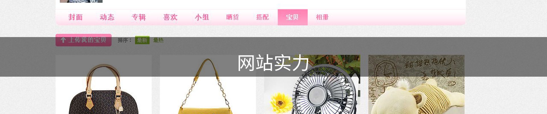 网站实力